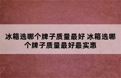 冰箱选哪个牌子质量最好 冰箱选哪个牌子质量最好最实惠